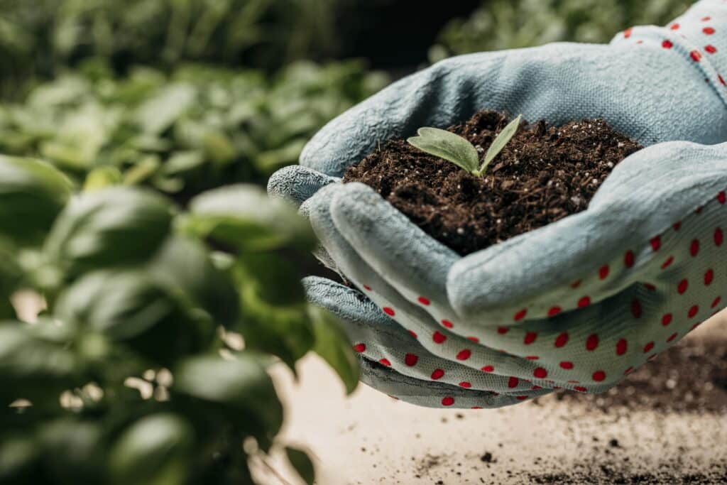 Sow, nurture, thrive gardening